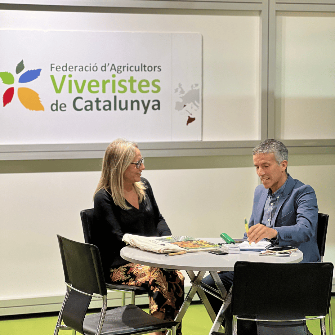 Diseño sin título - 2024-11-06T190708.803